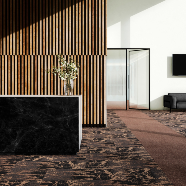 Modyluss_Dawn 835 Gleam 306 Blaze 399 SFEER 1